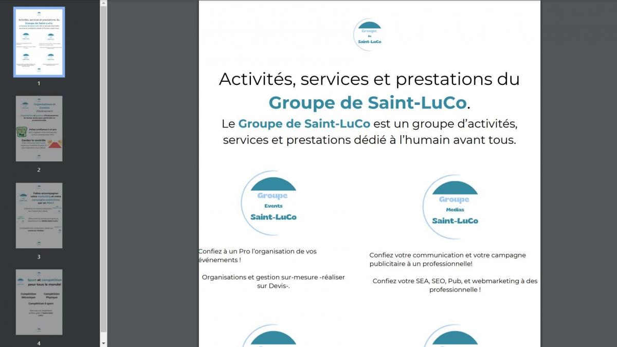 Présentations PDF : Activités, services et prestations du Groupe de Saint-LuCo. - PDF - 20011224-1 | Communiqué du Groupe de Saint-LuCo
